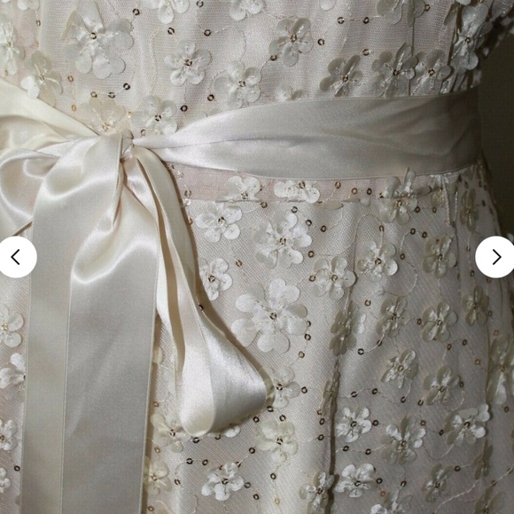 NWT Tahari Arthur S. Levine Floral Applique Gown Wedding Prom Bridesmaid Sz 14 - Picture 7 of 12